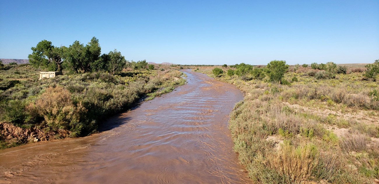 River flowing along shrub covered banks beneath a clear blue sky.