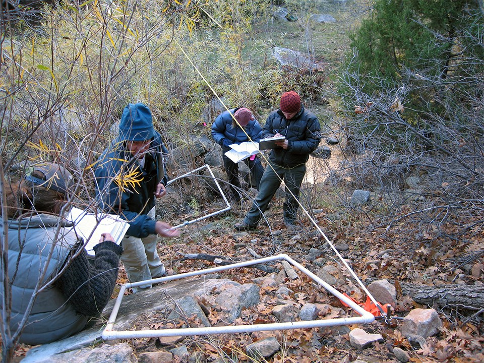 Four people wearing jackets, clustered around pvc pipe frames laid out on the ground on the bank of a stream. A measuring tape appears to be stretched out along the stream. bare shrubs and juniper trees in the area.