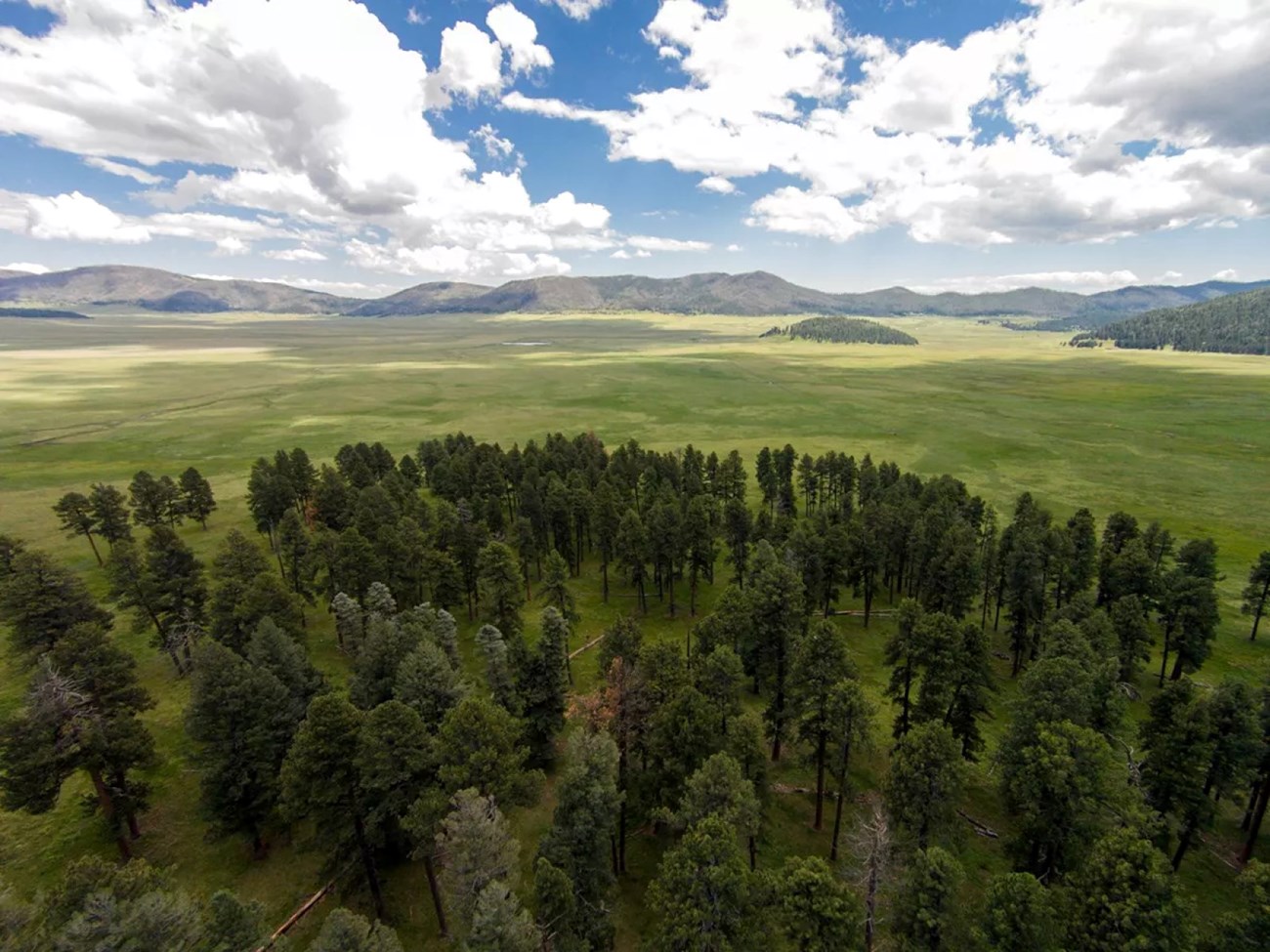 Overlooking a large grassland and forest.