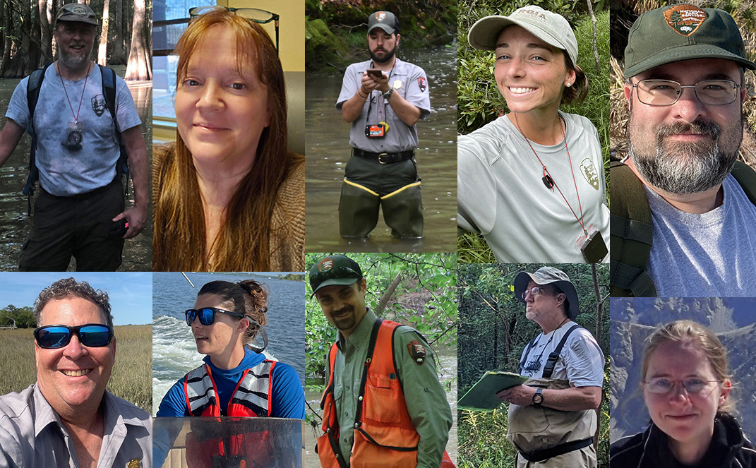 Collage of headshots and field pics of SECN staff