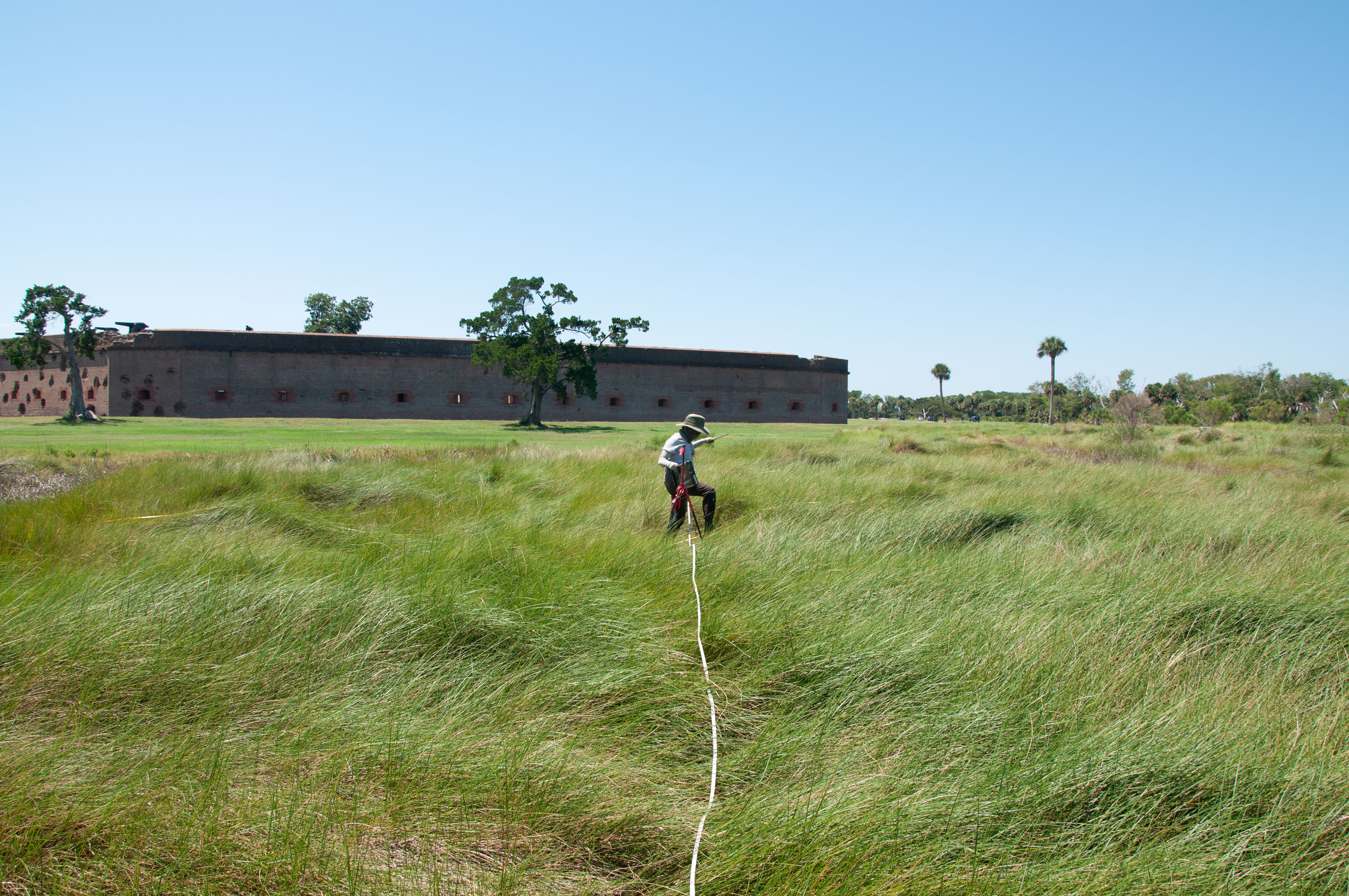 Woman carries measuring tape through marshgrass with fort in the background.