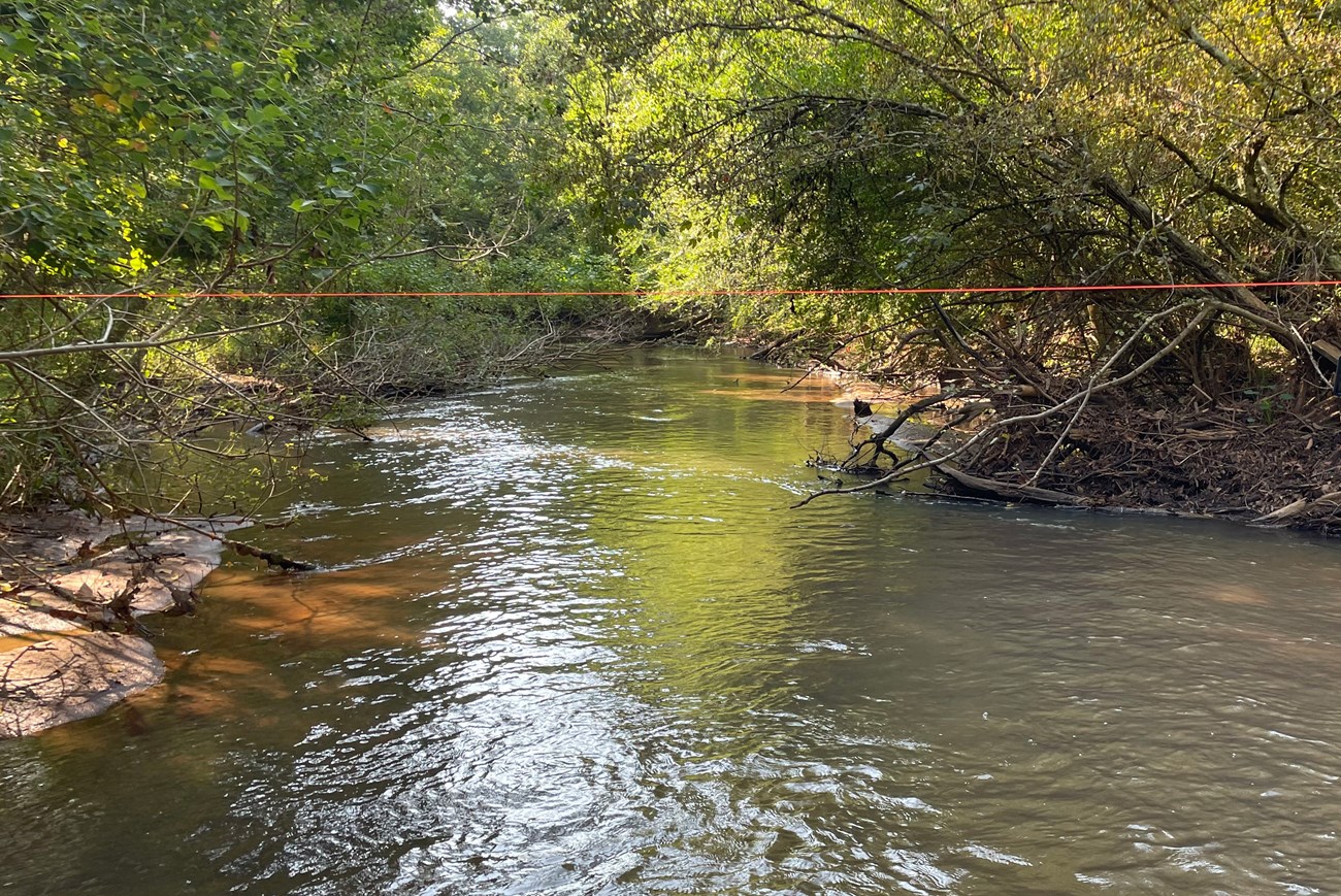Wide stream with trees overhanging on either bank