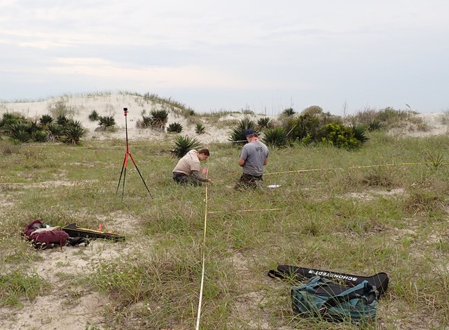 Two people surveying a vegetation plot