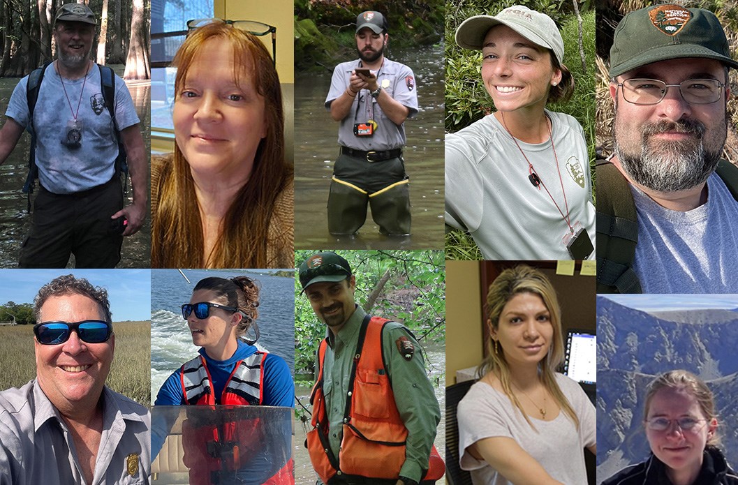 Collage of staff photos