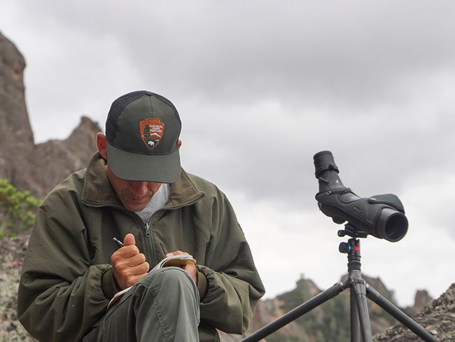 Pinnacles wildlife biologist takes measurements.
