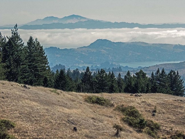 View of Mount Diablo from the Dipsea trail on a cloudy day.