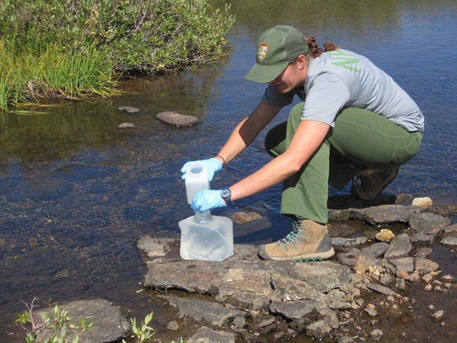National Park Service scientist collects a water sample at lake outlet in Yosemite National Park.