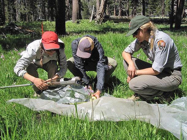 Three National Park Service scientists kneel near a wetlands soil profile to classify wetland type, Sequoia National Park.
