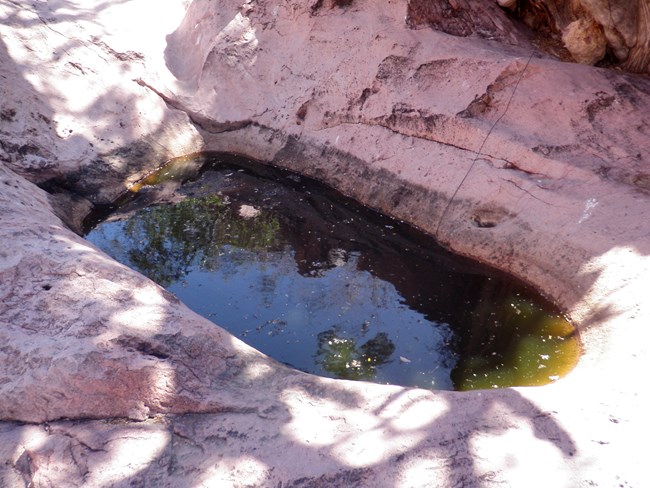 Dark green pool in pinkish bedrock.