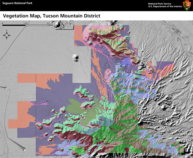 Map of Saguaro National Park's Tucson Mountain District with color fields showing the location of plant communities