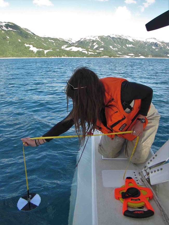 A technician lowers a secci disk into the water to measure turbidity.