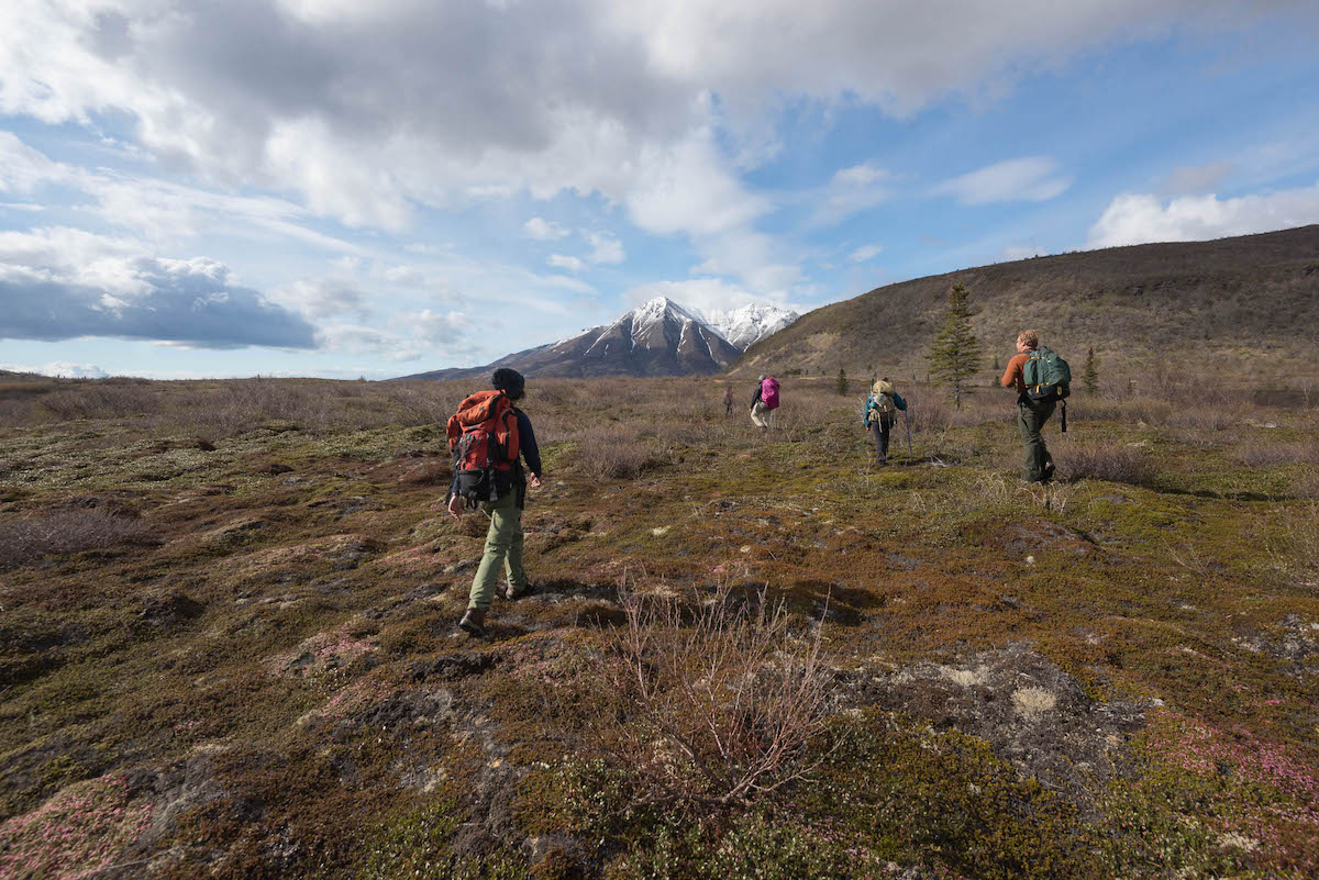 A group of people hike across tundra towards a snow covered mountain