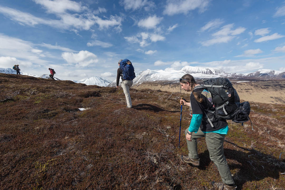 A group of people hike uphill on brown tundra