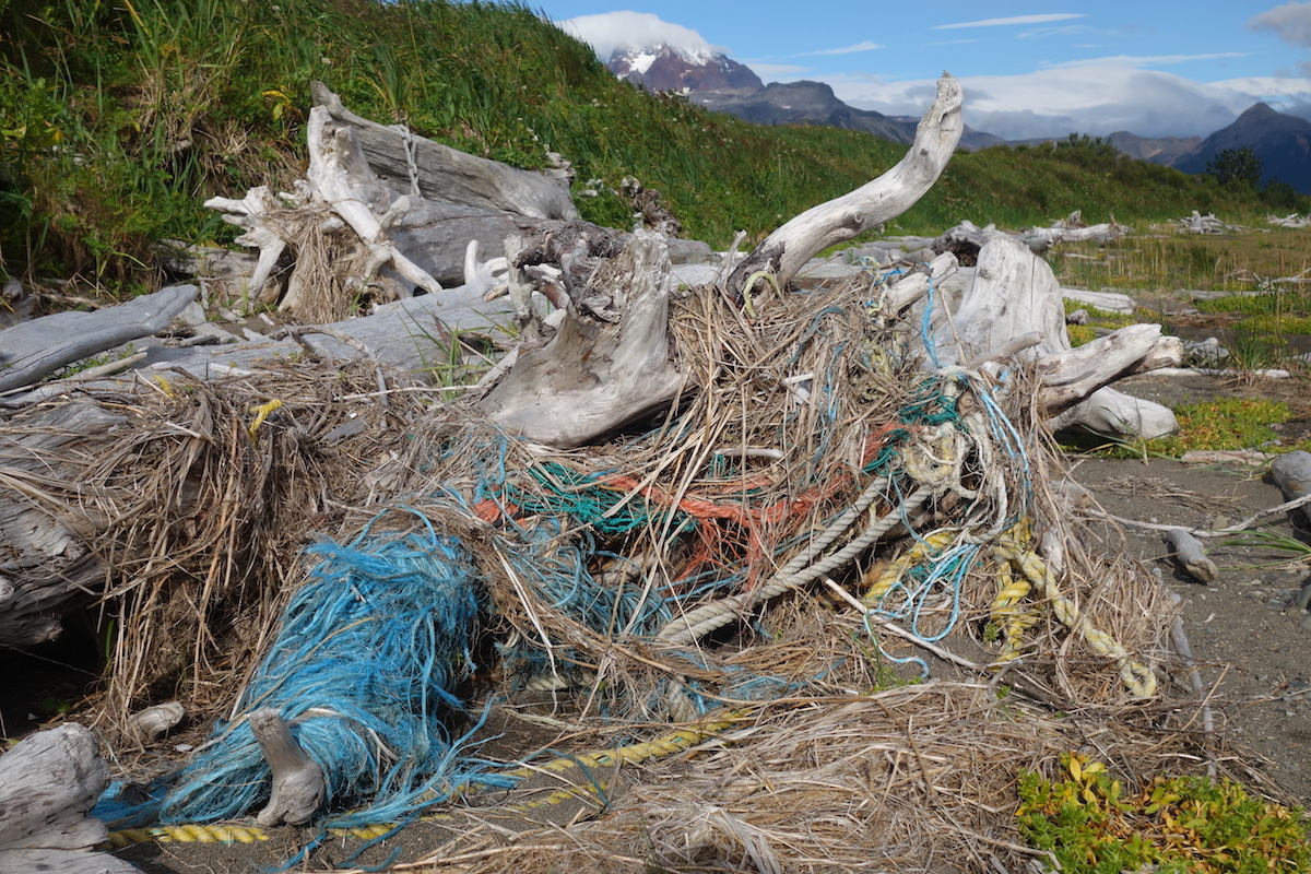Rope and debris tangled in drift wood