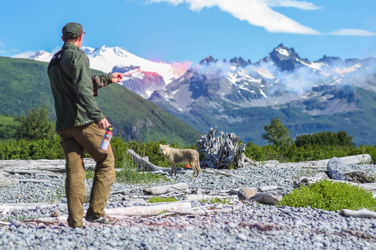 A ranger holds a flare while a wolf watches, with mountains in the background.
