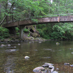 A wooden foot-bridge spans across a forest stream.