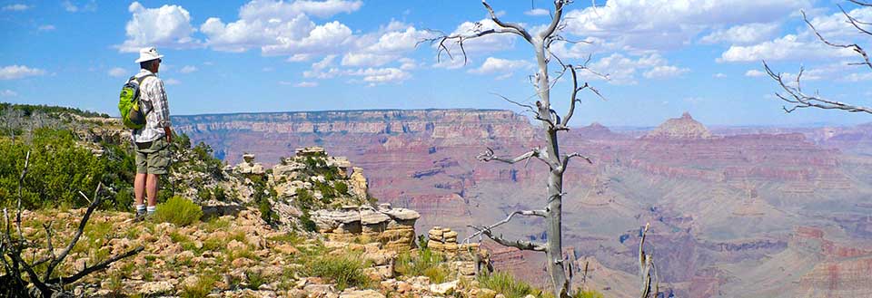 Man standing on the left looking out at Grand Canyon, which is seen in the distance on the right side of the photo