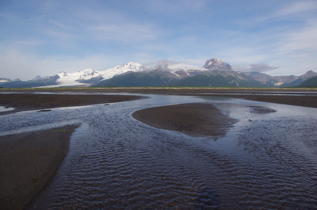 Tidal flats with mountains in the background