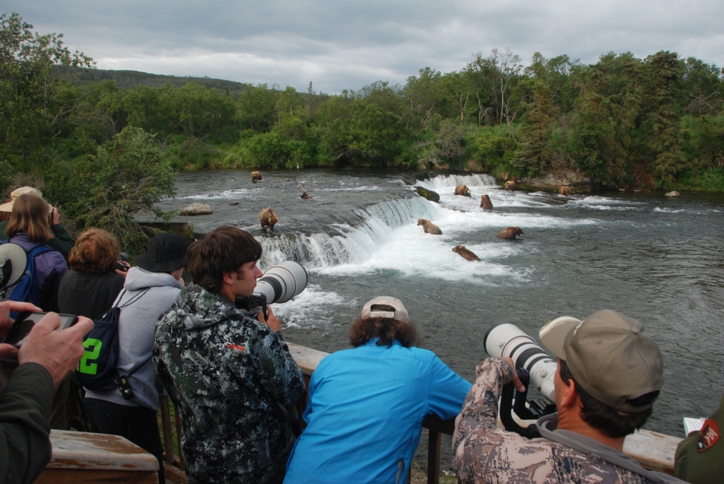 People photograph bears from the falls platform