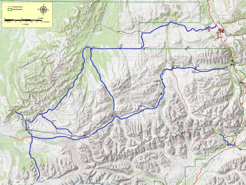 a map of denali with blue lines drawn to indicate mushing trails