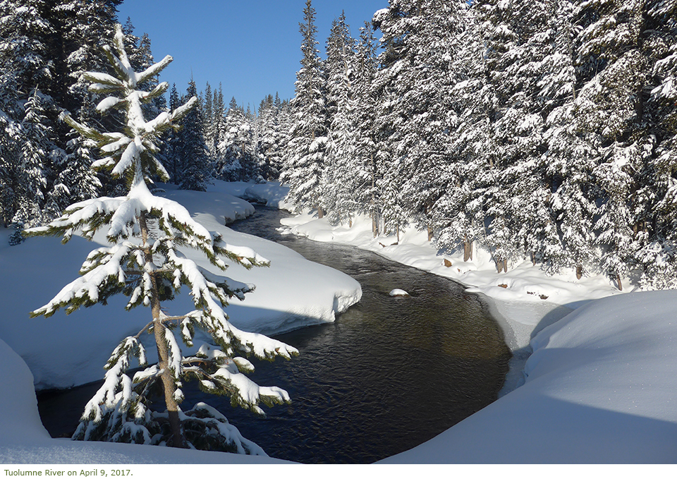 Tuolumne River in winter with snow