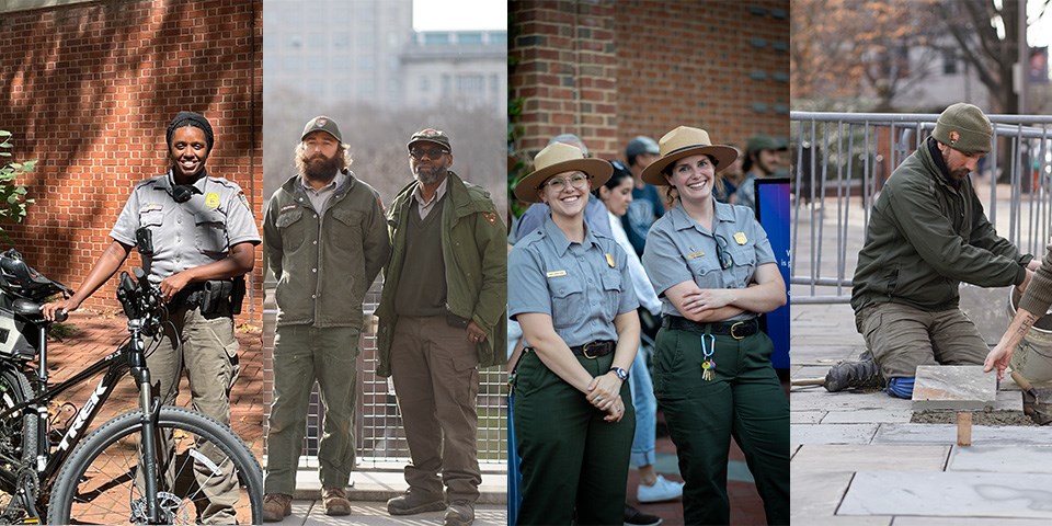 Four different photos of NPS staff at work