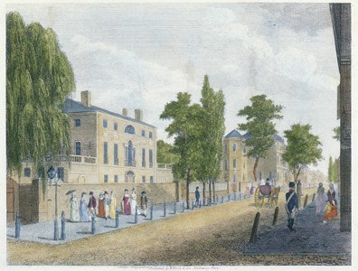 birch-print-view-in-third-street