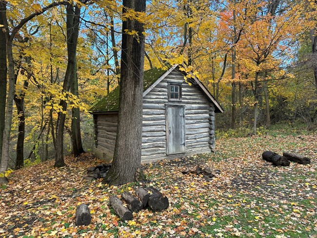 Log cabin with pitched roof and small glass window among a forested wall of trees with yellow and orange leaves.