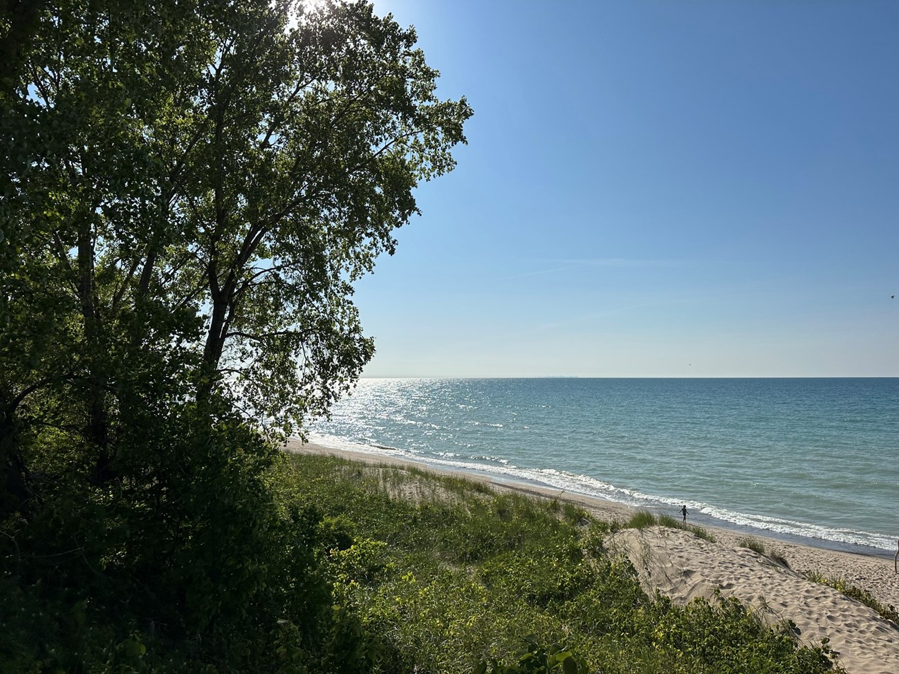 Sandy beach along the glistening blue waters of Lake Michigan. Blue sky above the lake. A ridge of sand along the beach has grassy vegetation and sporadic trees.