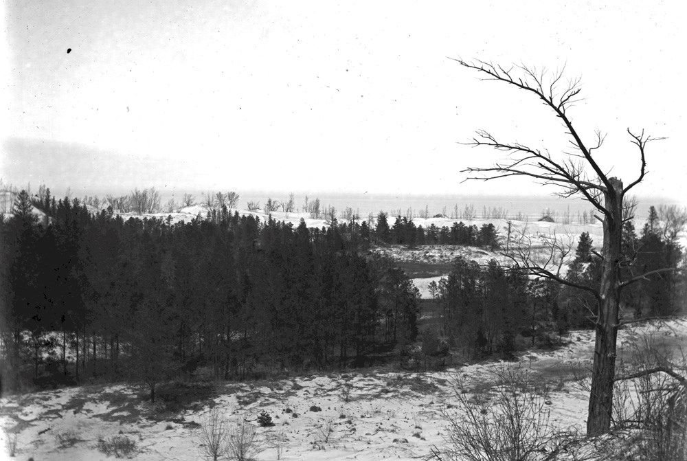 Black and white photograph of the Lake Michigan lakefront in winter of 1903. A forest of dark jack pine trees grow amongst snowy dunes.