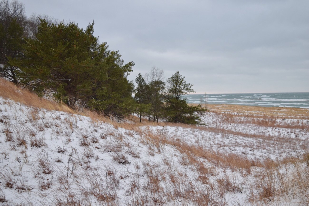 Wintery scene of Lake Michigan shore with snow covered sands, a tumultuous lake and green jack and white pine trees