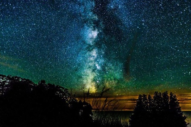 Star-studded sky with Milk Way above Lake Michigan with tree silhouettes in the foreground. An orange glow is on the horizon, shifting to green and then blue at the top.