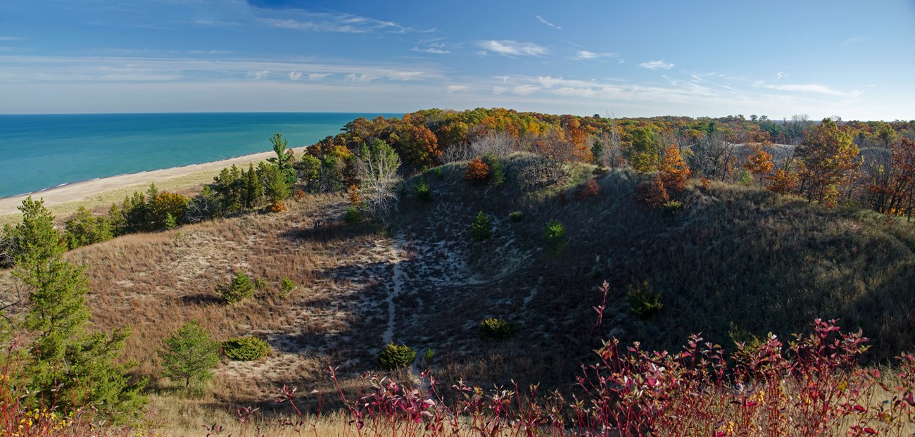 Fall scene of a large wooded sand dune along Lake Michigan's blue waters