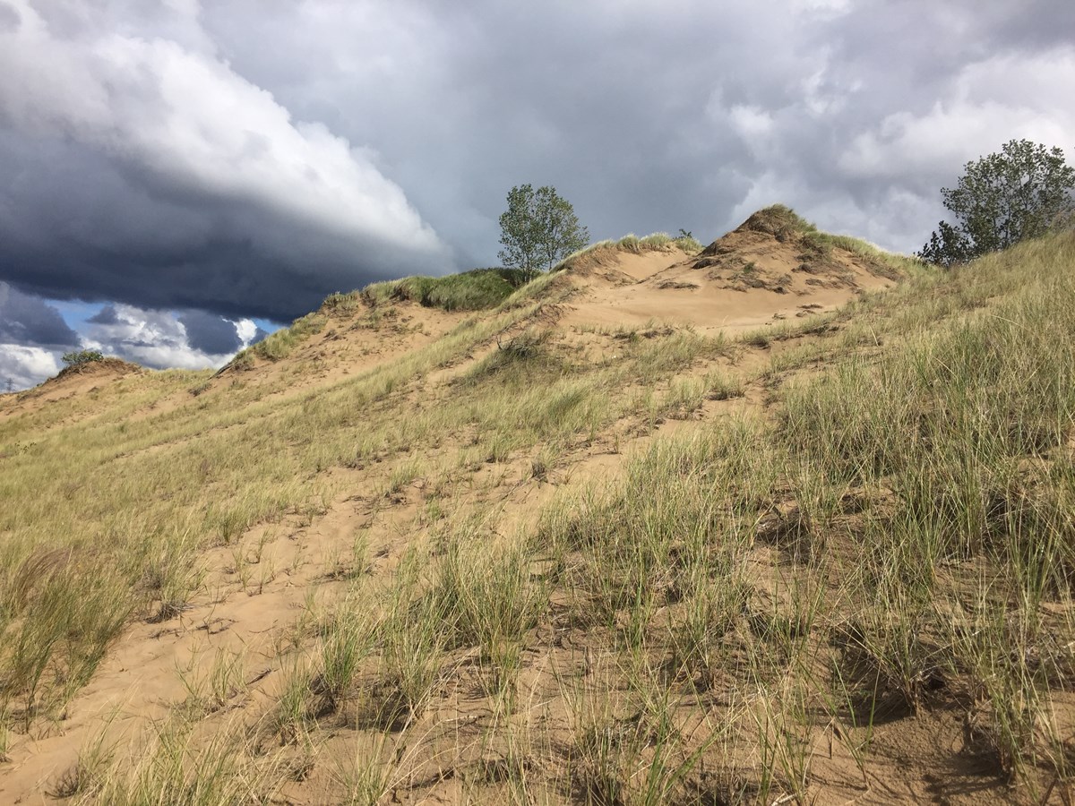 Mount Baldy Exploration Indiana Dunes National Park (U.S. National