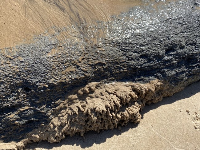 Water emerging from the base of a dune by hitting an impermeable clay layer. The seeping water carries sand and creates unique formations.