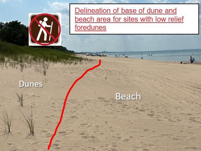Photo of beach with a red line dividing the foliage covered dunes section where it meets the sandy shoreline of Lake Michigan.