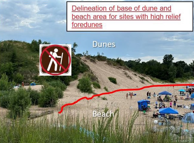 Photo of beach with a red line dividing the foliage covered large dunes section where it meets the sandy shoreline, filled with beachgoers, of Lake Michigan.