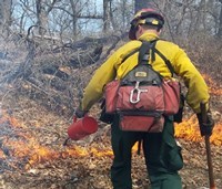 Firefighter lighting a prescribed fire.