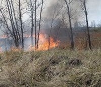 Fire in beach grass
