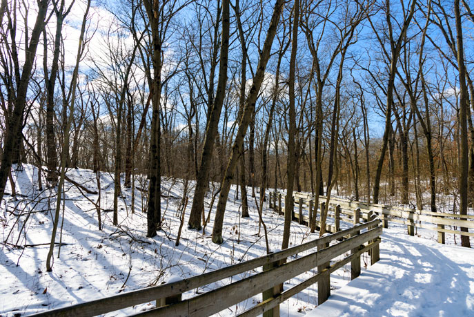Calumet Dunes Trail in the Winter