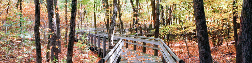 Calumet Dunes Trail Banner