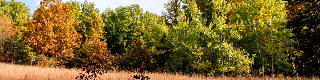 Glenwood Dunes Trail