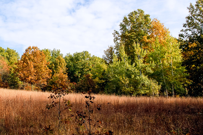 Glenwood Dunes Trail