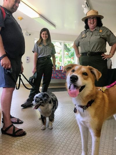 INDU BARK Rangers - Indiana Dunes National Park (U.S. National Park