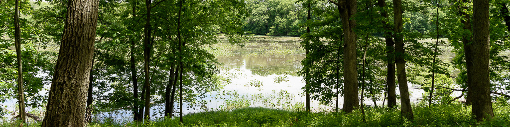 Hobart Prairie Grove.
