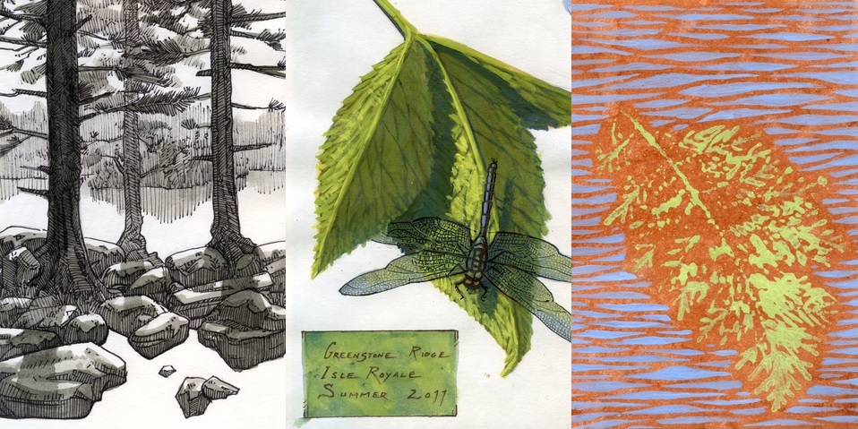 Isle Royale Artist-in-Residence Reflection