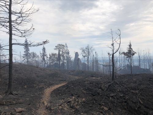 View of a barren landscape and trees scorched by fire, with a tall, large rock in the background.