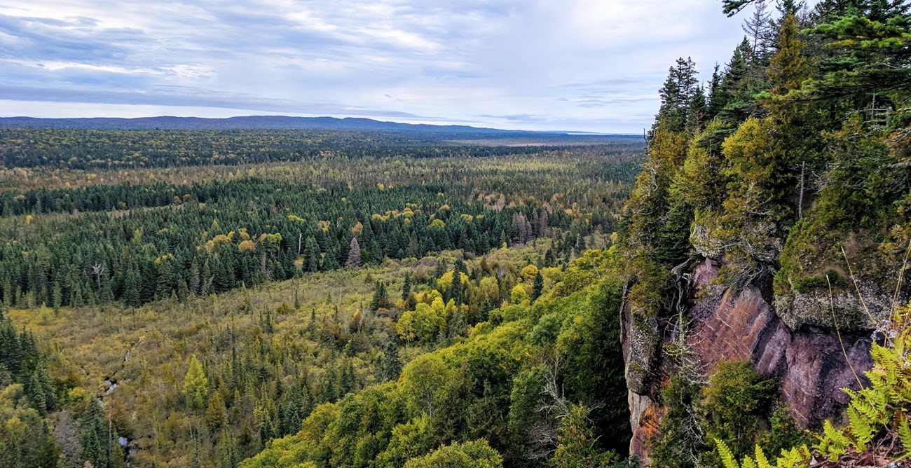 View of a cliff side overlooking a forest and a ridgeline in the distance.
