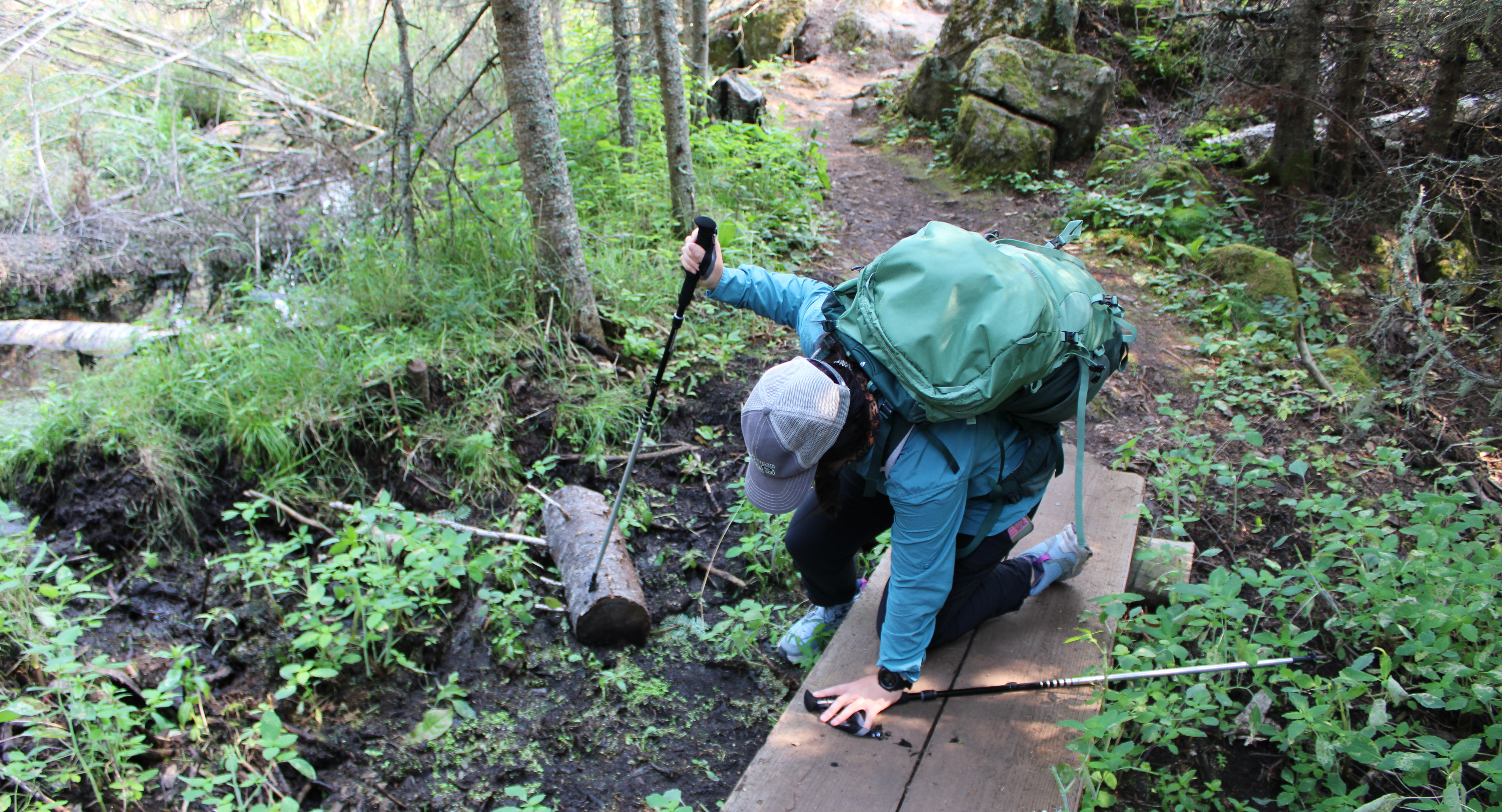A person wearing a large backpack slips off a wooden boardwalk into the mud.