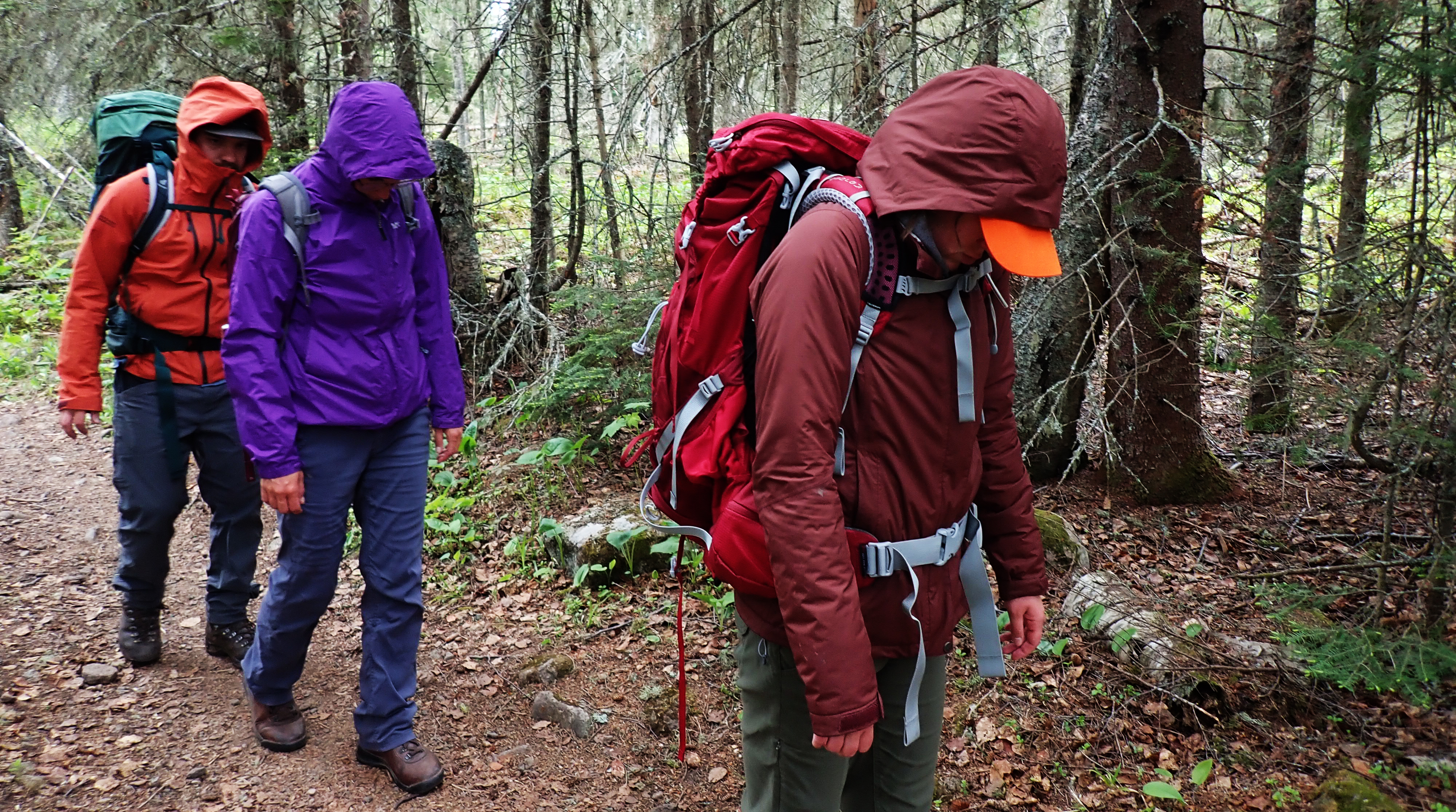 Three people in rain gear hike in a line.